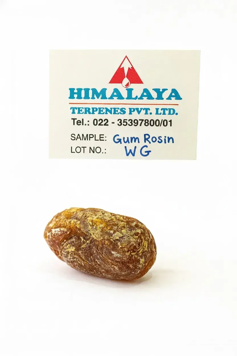 Gum Rosin WG